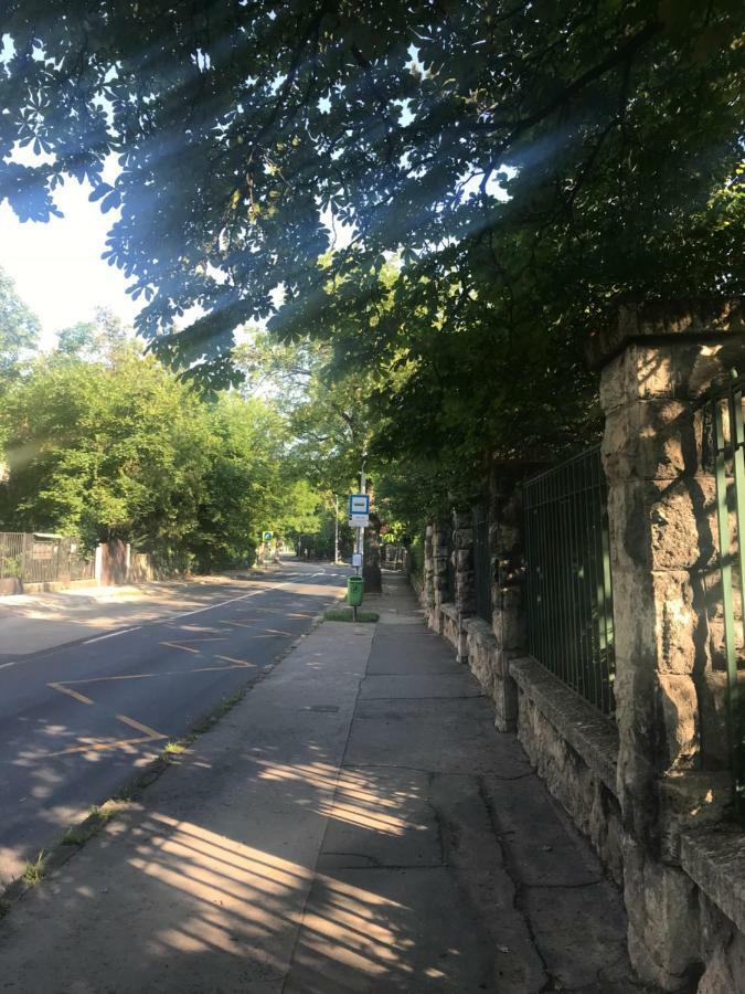 Pasaret Studio Budapest Eksteriør billede